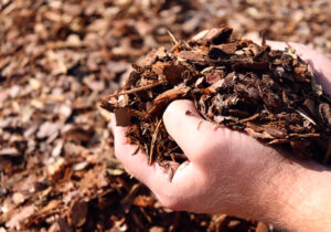 Rindenmulch im Garten