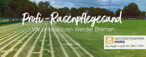Read more about the article Rasenpflege für ein sattes Grün.